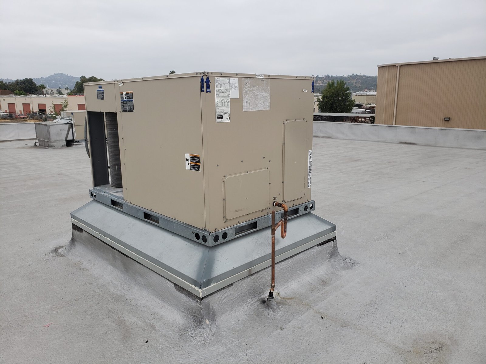 20200615 091614 scaled